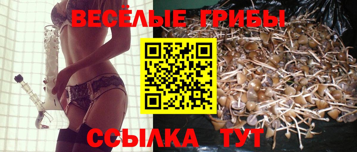 Галлюциногенные грибы Magic Shrooms Магадан